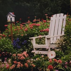 COLDWATER CREEK ♡ White Garden Chair Floral Birdhouse Unframed Original Print